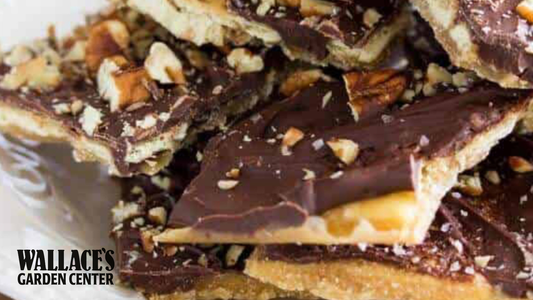 Cody Road Bourbon Cracker Candy