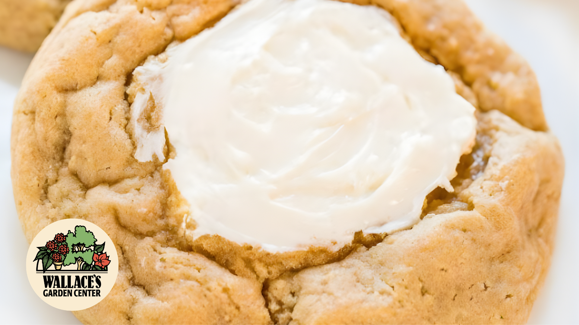 Salted Caramel Cheesecake Cookies