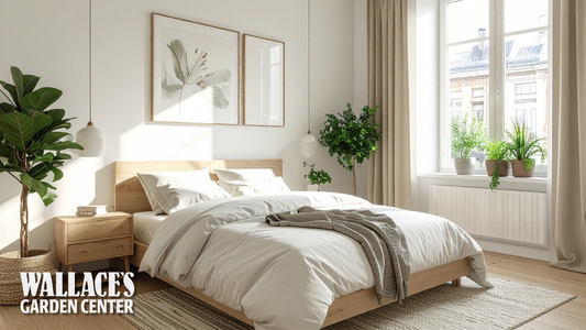 Understanding Light Levels in Your Home