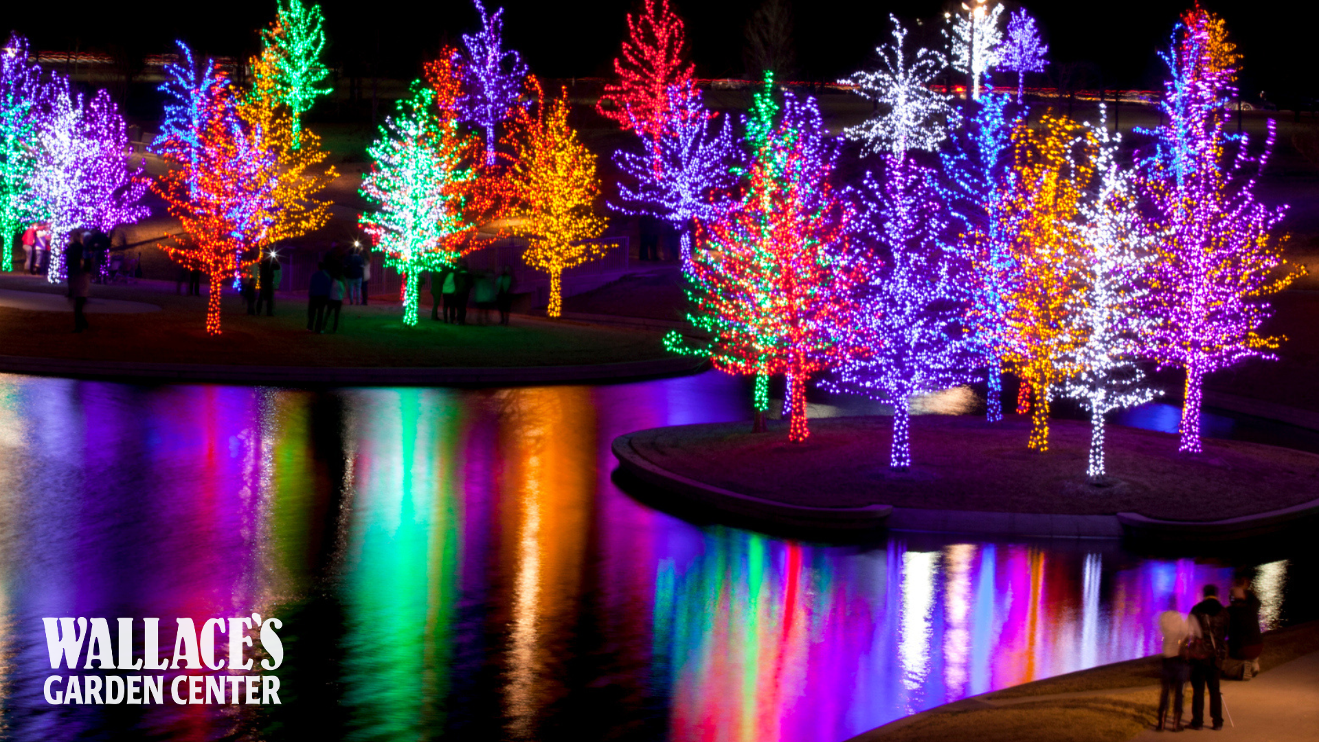 Winter Nights, Winter Lights: A Quad Cities Holiday Tradition