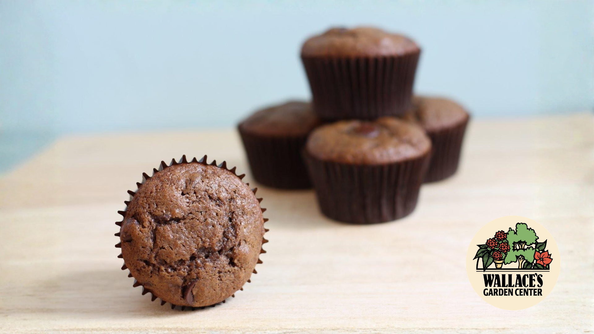 Wallaces Garden Center-Bettendorf-Iowa Coffee Mocha Muffins recipe