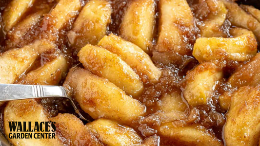 Virginia Fried Apples