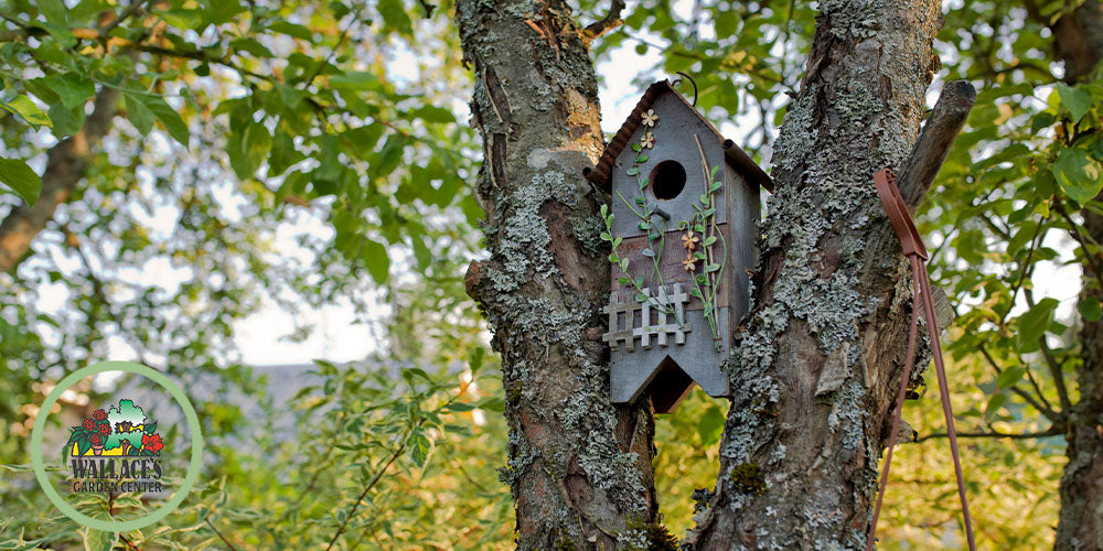 What to Look for in a Quality Birdhouse wallacegardencenter