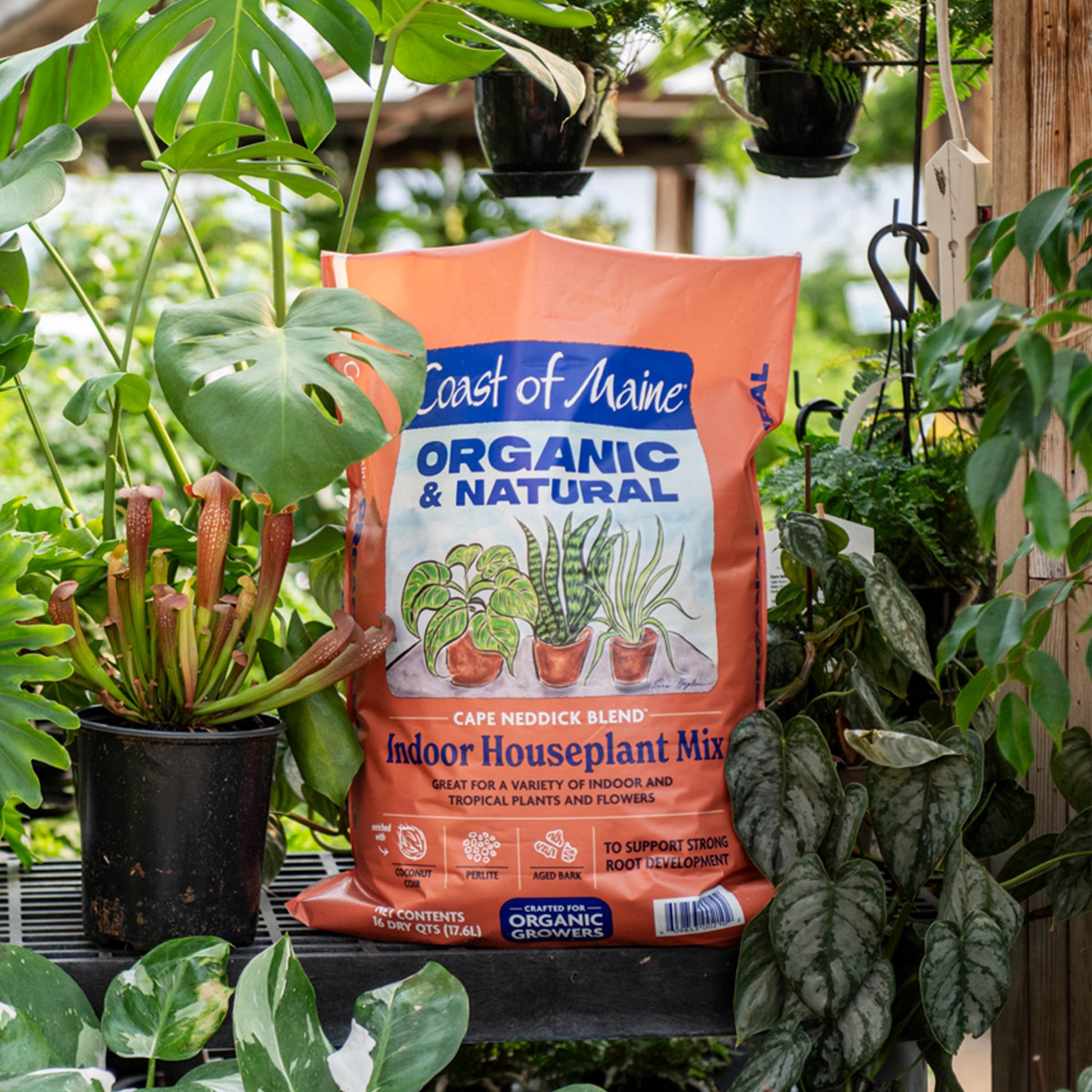 indoor planting mix Coast of Maine Houseplant Mix – wallacegardencenter