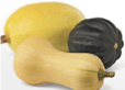 Mixed Squash Acorn Butternut Spaghetti Delicata Buttercup
