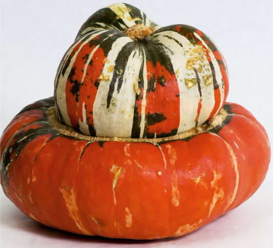 Turk's Turban Pumpkins