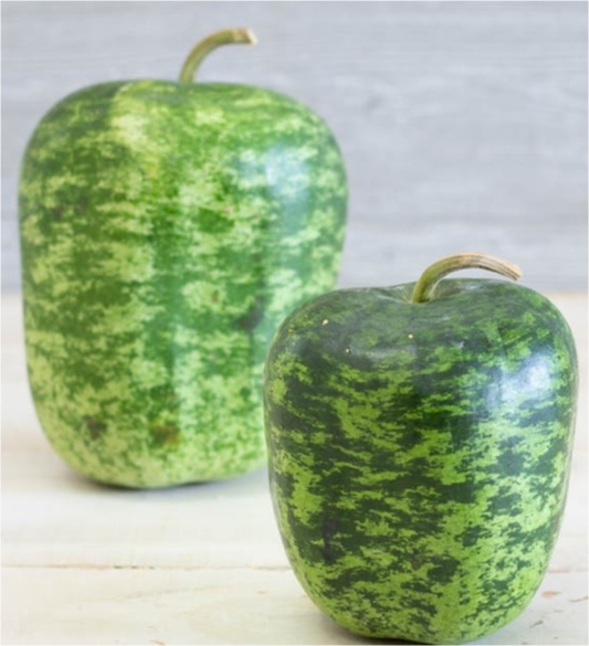 Apple Gourd