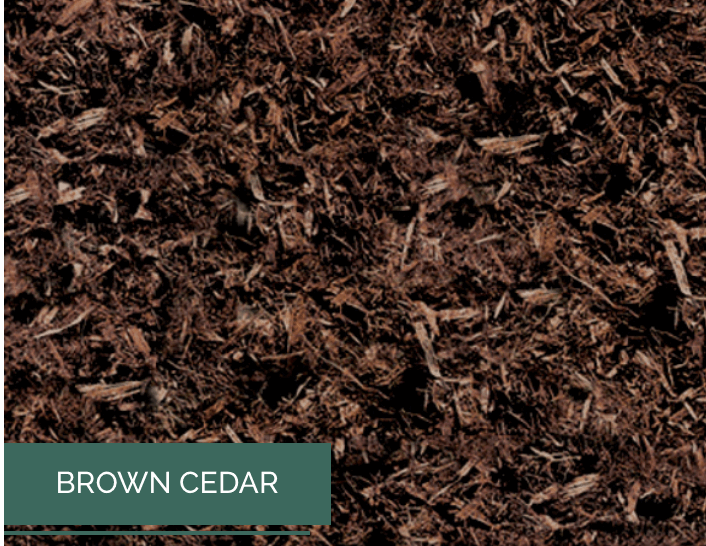 Premium Cedar Dyed Brown wallacegardencenter