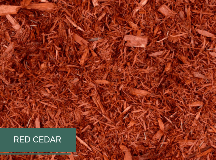 Premium Cedar Dyed Red wallacegardencenter