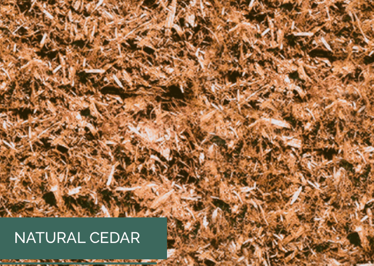 Premium Natural Cedar wallacegardencenter