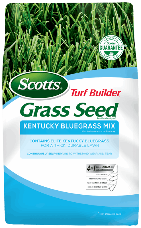 Scotts Kentucky Blue Grass Grass Seed wallacegardencenter