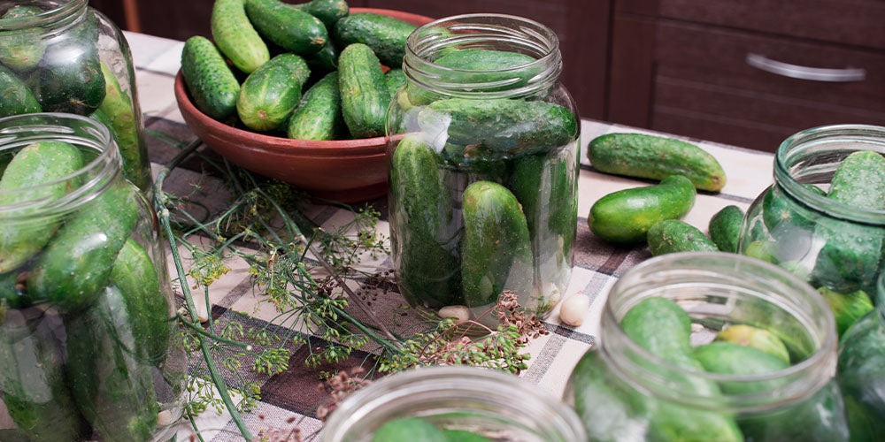 canning cucumbers for pickling