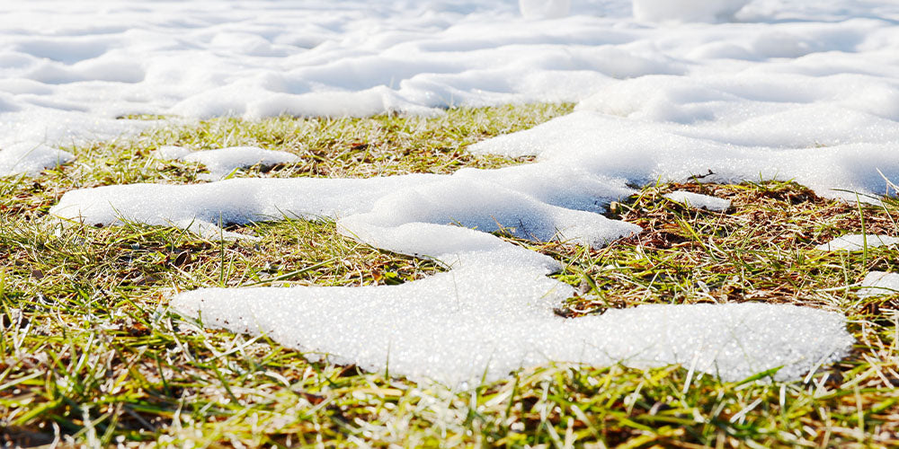 melting snow on lawn