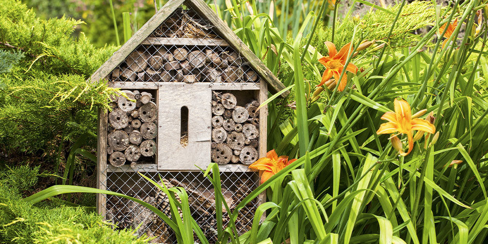 Build a Bee Hotel in Your Garden - Wallace's