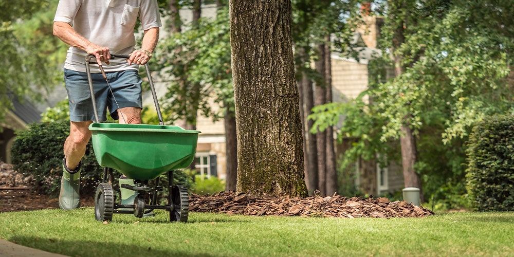 man fertilizing lawn Wallace's Garden Center