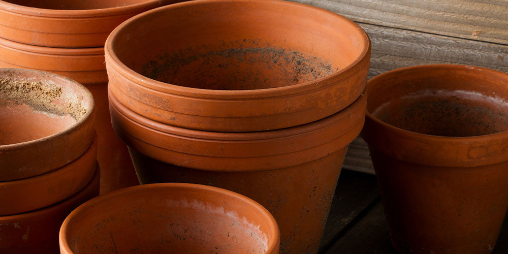 Wallace's Garden Center-Houseplant Spring Cleaning-dirty terra cotta pots