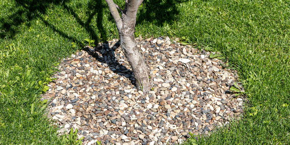 Wallace's Garden Center-Mulch vs. Rock When and How to Use Each One -river rock around tree trunk