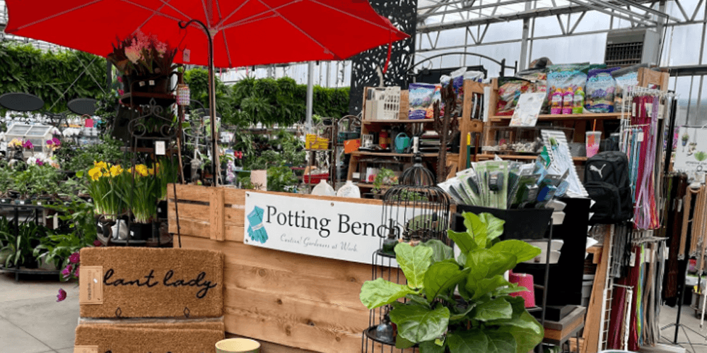 wallaces potting bench in greenhouse