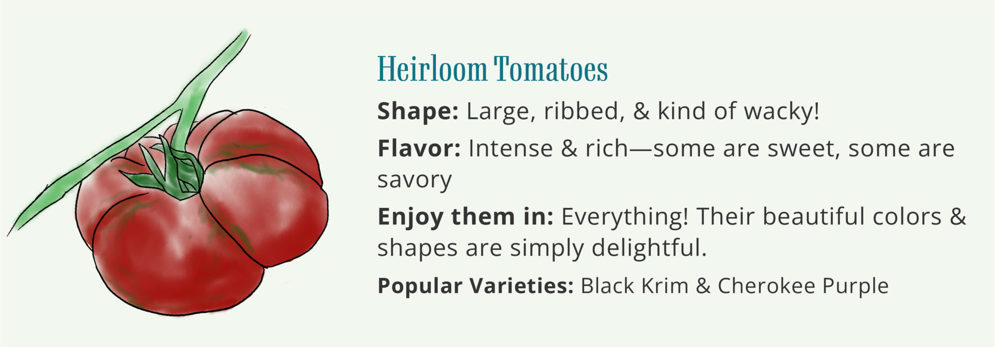 Heirloom-Tomatoes-Black-Krim-Cherokee-Purple-Wallaces-Garden-Center-Iowa1