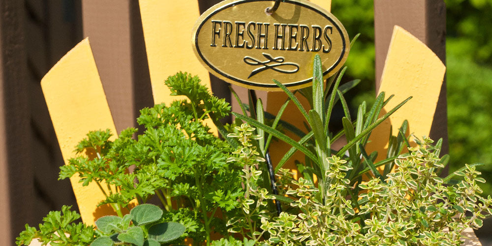 Wallace's Garden Center- Culinary Herb Garden Ideas for Iowa-herb planter